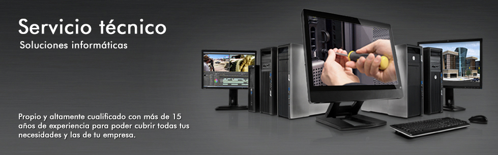 Técnico a domicilio PS2 San Juan del Río